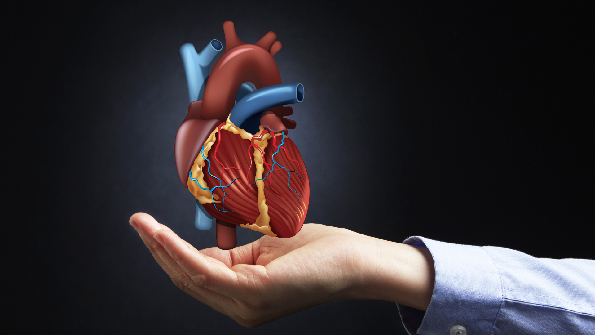 AFib Ablation Virginia Arrhythmia Consultants